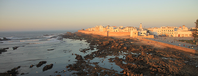 Chameaux sur l’eau avec les enfants sur les rivages d’Essaouira