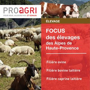 Focus 2021 sur les élevages des Alpes de Haute-Provence