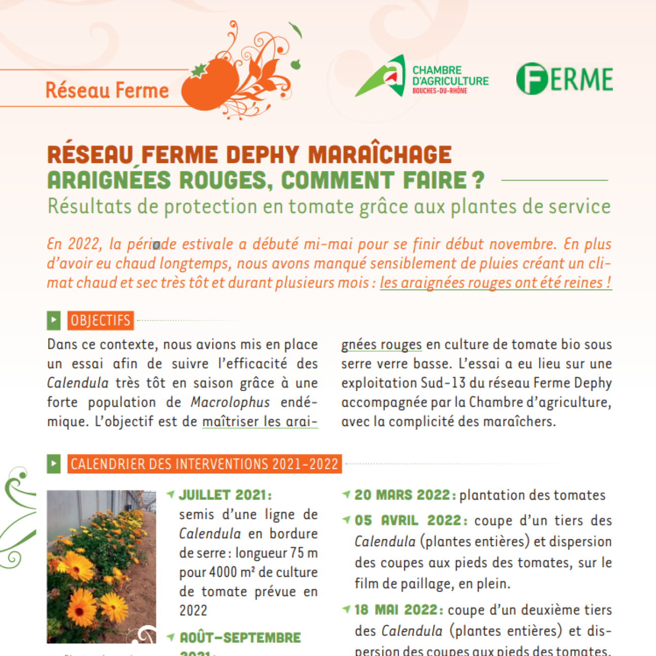 Réseau Ferme Dephy Maraichage : Araignées rouges, comment faire ? - Chambres d'agriculture Provence-Alpes-Côte d'Azur
