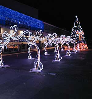 Magie de Noël à découvrir dès le 1er décembre en ville ! 