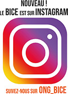 Je fais un don au BICE