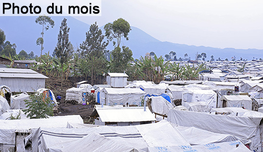 Image du mois