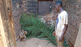 Justice juvénile au Togo : initiatives du BICE, progrès et défis
