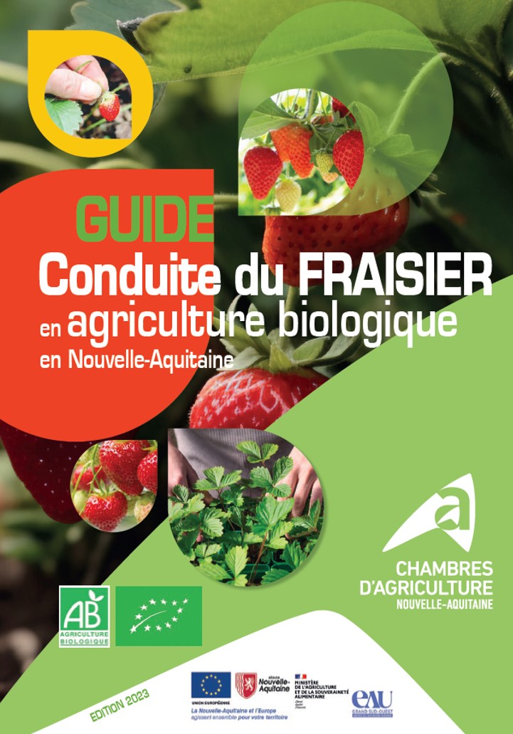 GUIDE FRAISE