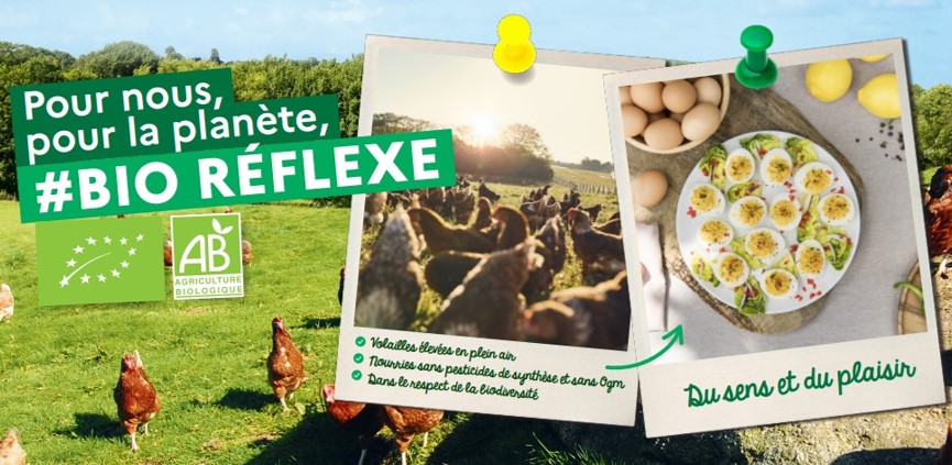 IMAGE BIOREFLEXE