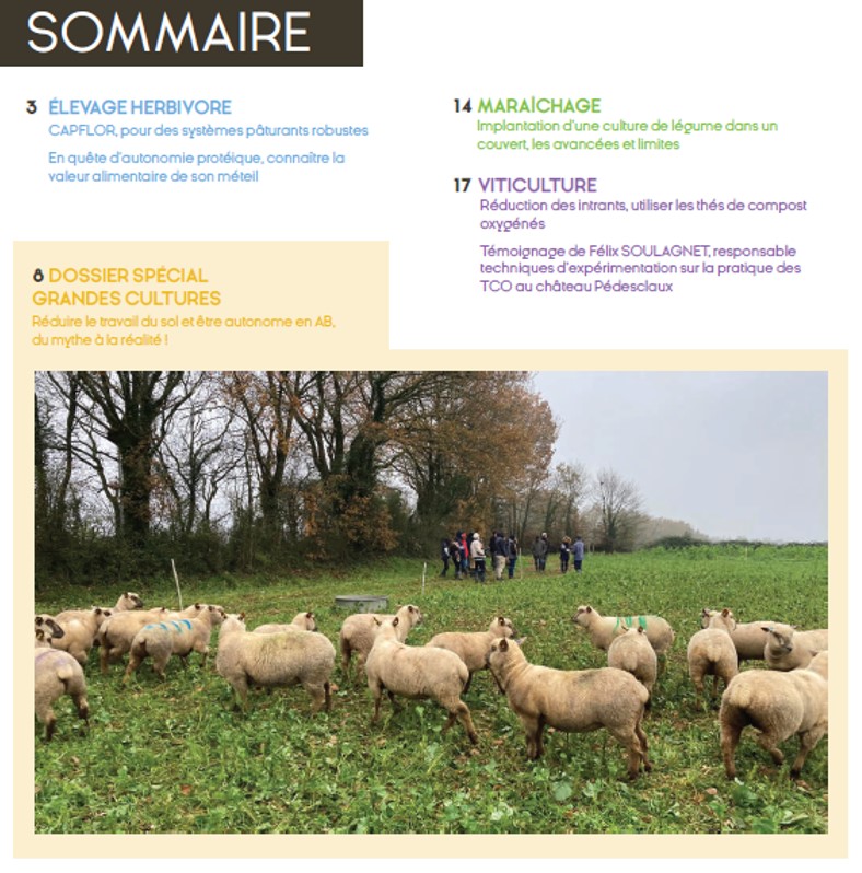 Sommaire numéro 18