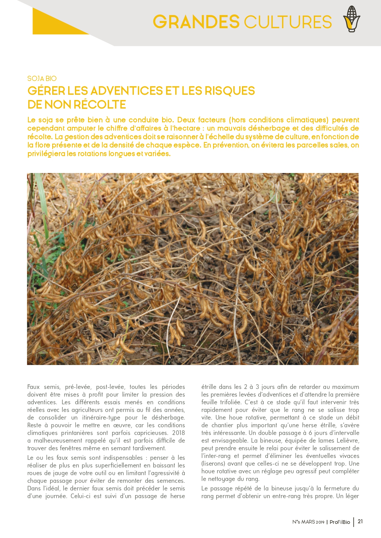 PHOTO ARTICLE
