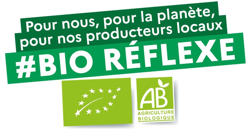 BioREFLEXE
