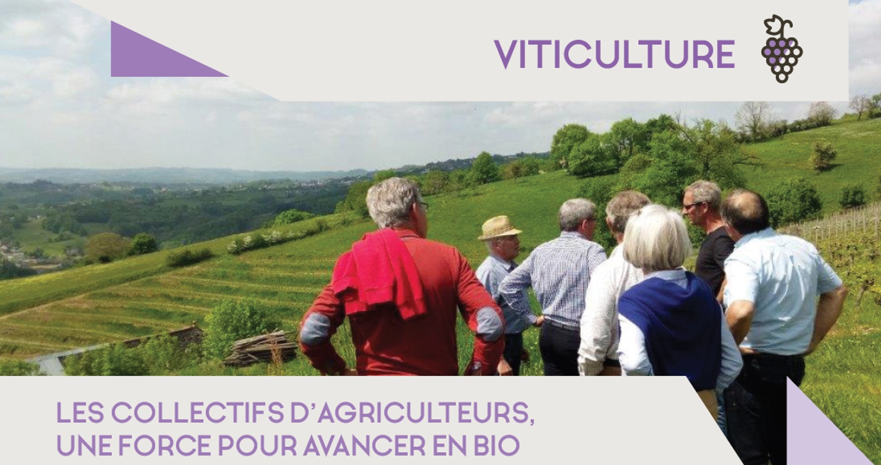 Article 3 viticulture
