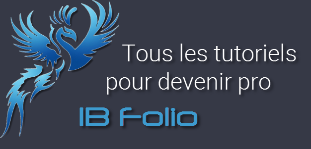 IBFolio, l'interface logicielle de trading d'options