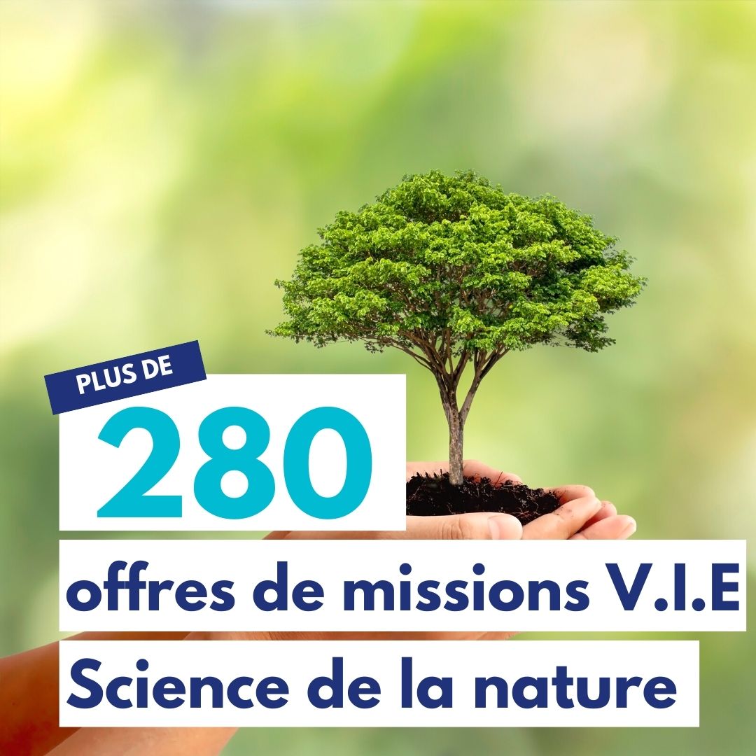 plus de 280 offres de mission vie