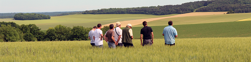 Actu Agroécologie