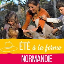 Eté à la Ferme