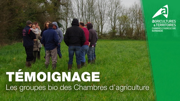 [►VIDEO] FR Témoignage : Les groupes bio des Chambres d'agriculture