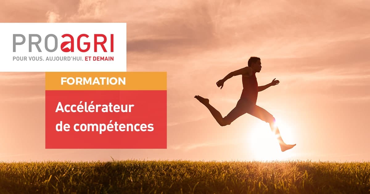 Accélérateur de compétences