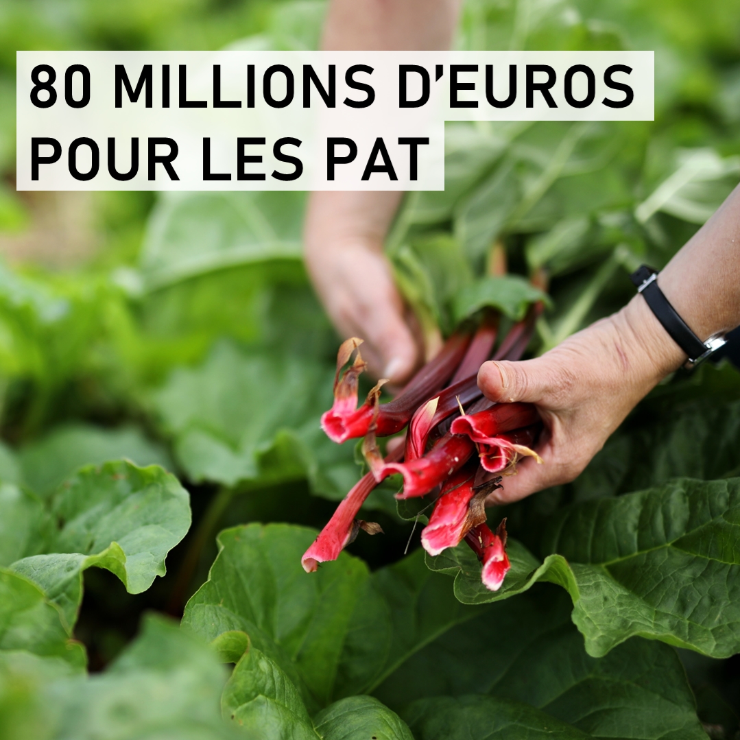 Projets Alimentaires Territoriaux