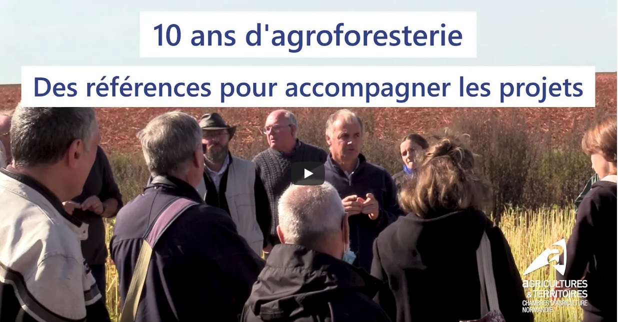 10 ans d'agroforesterie en Normandie : des références pour accompagner les projets
