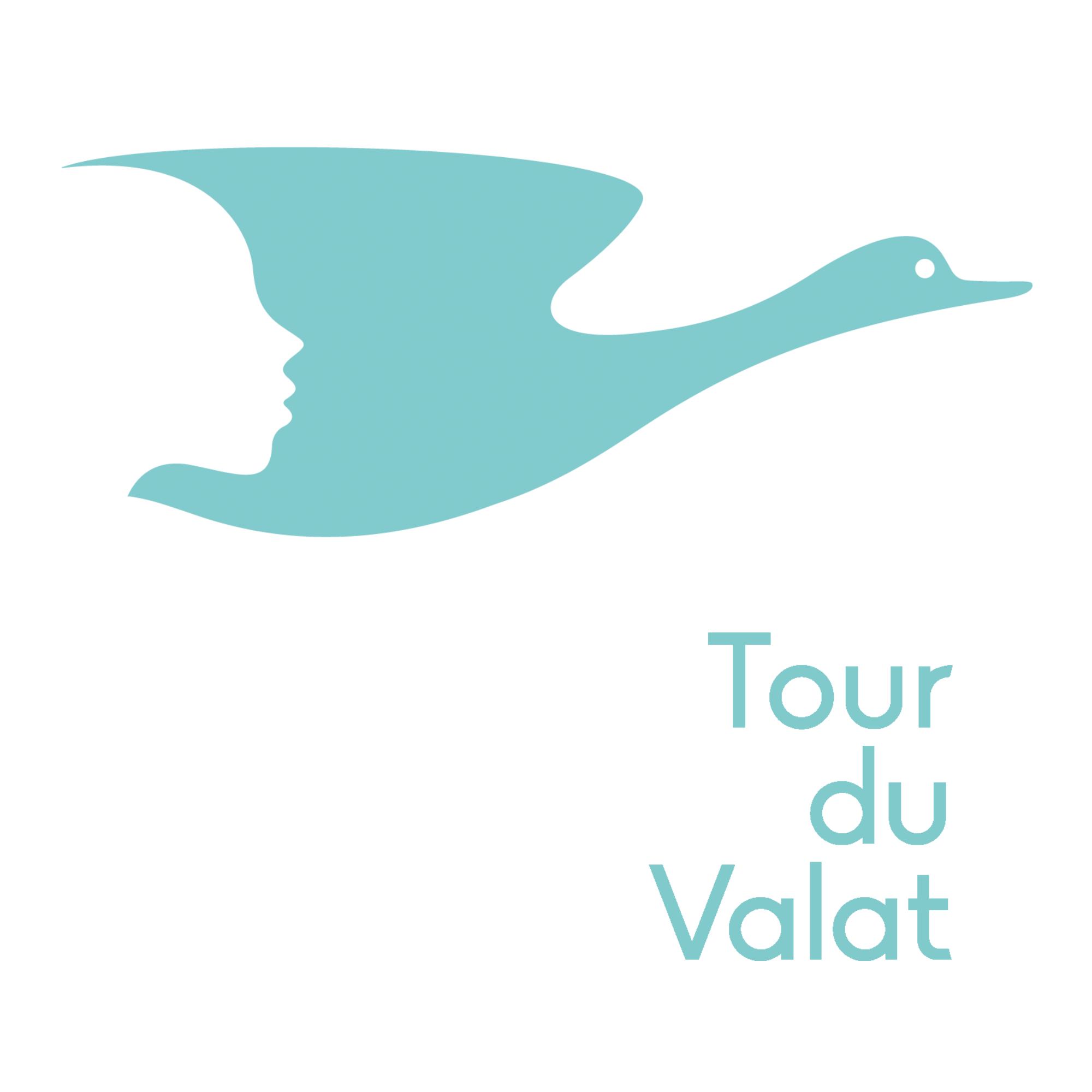 logo_TDV_70ans