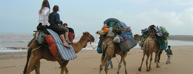 Une randonnée sur des chameaux portant vos bagages.