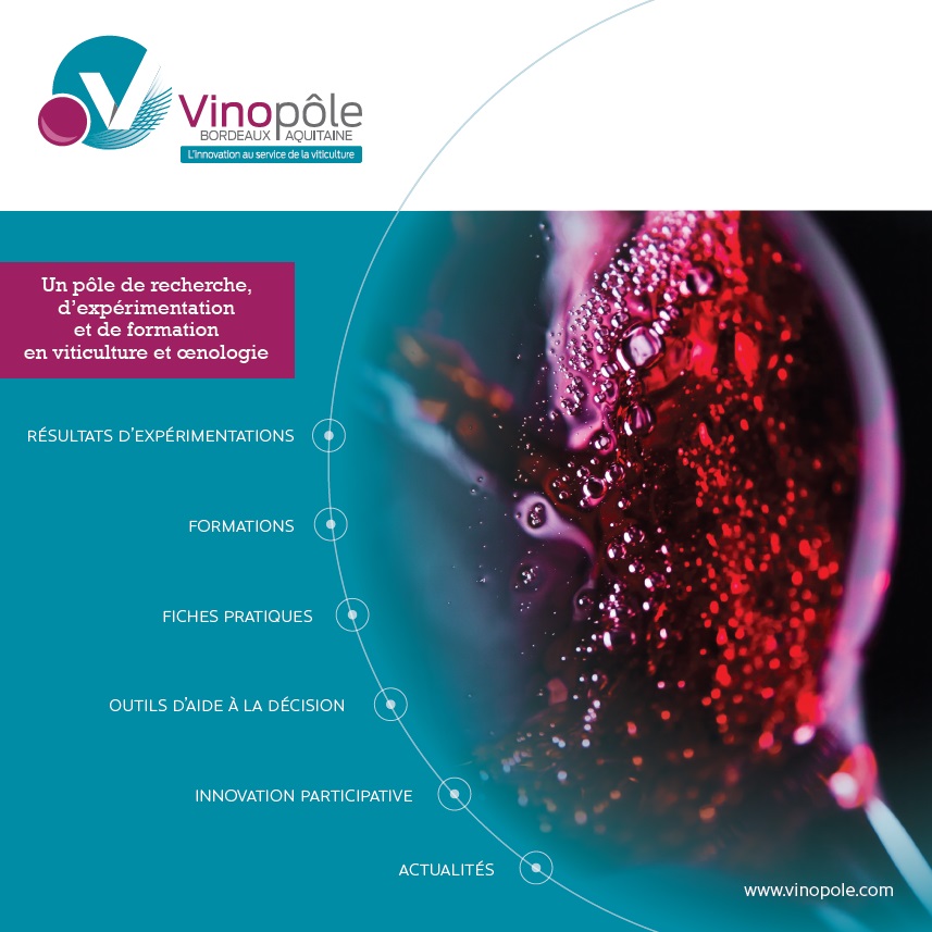 Plaquette de présentation du Vinopôle Bordeaux-Aquitaine