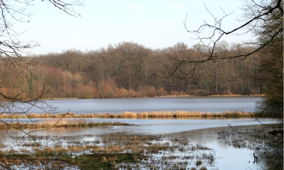 Marais de Germont