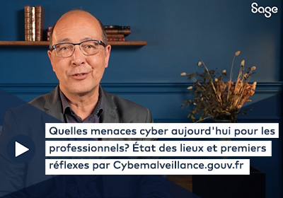 Quelles menaces cyber aujourd'hui pour les professionnels? État des lieux et premiers réflexes par Cybemalveillance.gouv.fr 