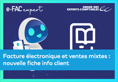 Visuel e-FAC expert - FE et ventes mixtes