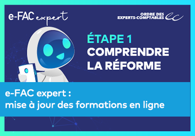 Visuel de e-FAC experts