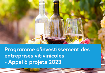 Programme d’investissement des entreprises vitivinicoles - Appel à projets 2023