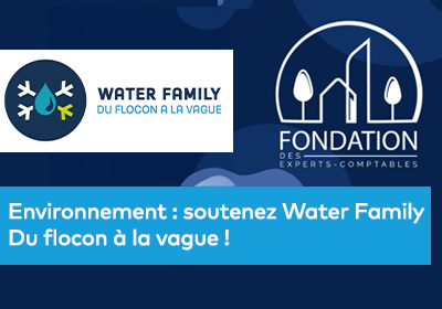 Visuel abstrait avec le logo de la Fondation des experts-comptables et le logo Walter Family