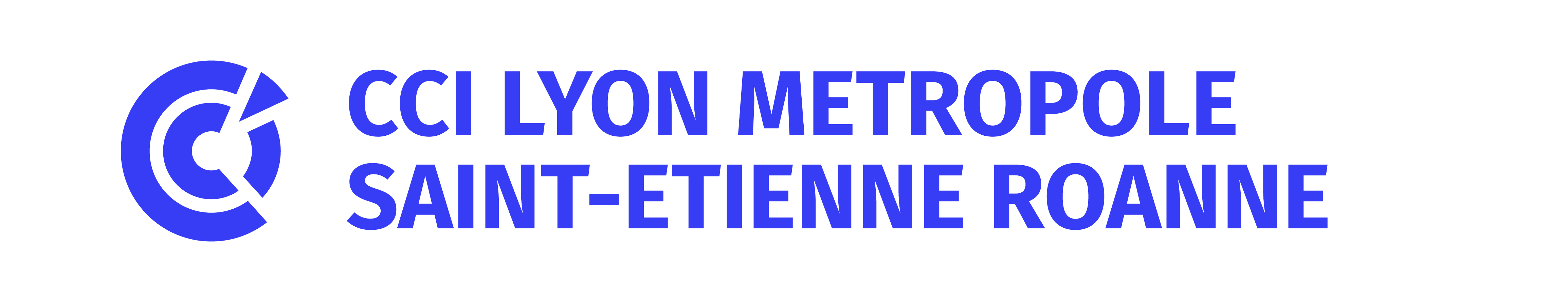 Logo CCI Lyon Métropole Saint-Etienne Roanne